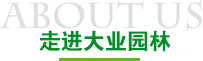 走进长征娱乐