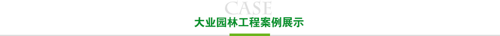 长征娱乐工程案例展示