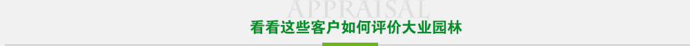 看看这些客户如何评价长征娱乐