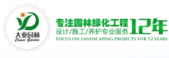 深圳长征娱乐